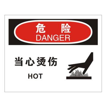 安赛瑞 OSHA危险标识-当心烫伤，ABS板，250×315mm，31783 售卖规格：1张
