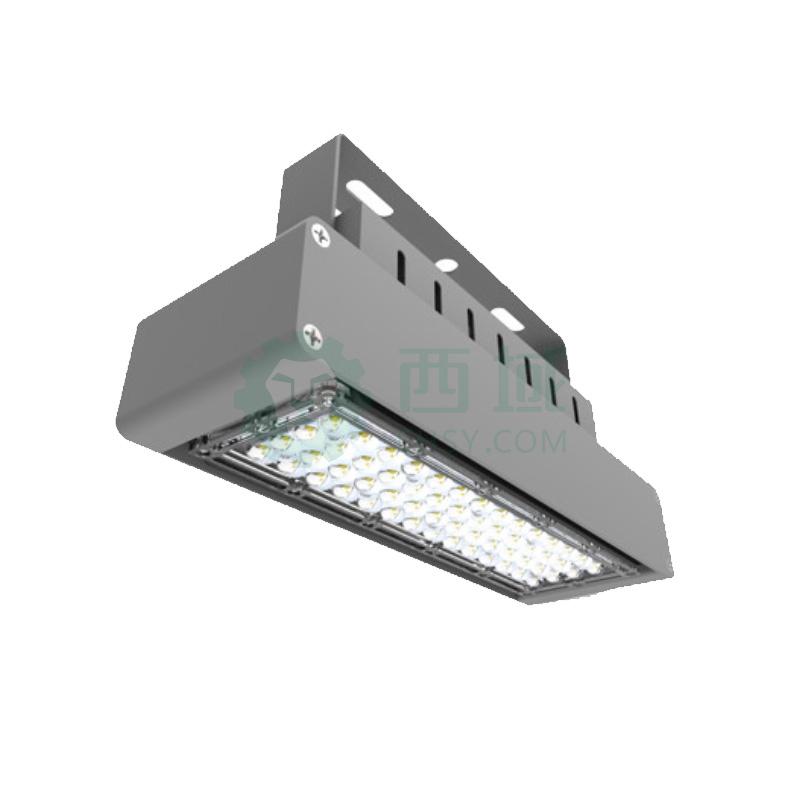 勤上源光 LED低顶泛光灯,KSL9182 功率30W,白光5000K 含U形支架式安装,单位:个【多少钱 规格参数 图片 采购】西域