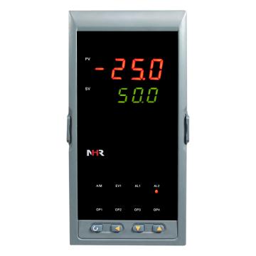 虹润 数字控制仪，NHR-5310B-55/X-0/0/2/X/1P(24)-A 售卖规格：1块