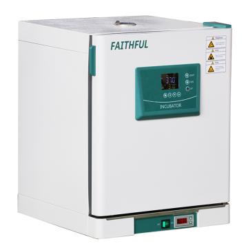 菲斯福 精密电热恒温培养箱，DH125L 控温室温+5-70℃，容积125L，工作室宽×深×高500×450×550mm 售卖规格：1台