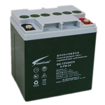 阳光赛能 蓄电池，6-GFM-24 24AH，12V(如需配线提前沟通) 售卖规格：1个
