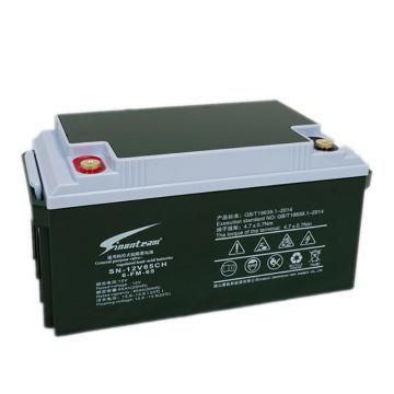 阳光赛能 蓄电池，6-GFM-65 65AH，12V(如需配线提前沟通) 售卖规格：1个
