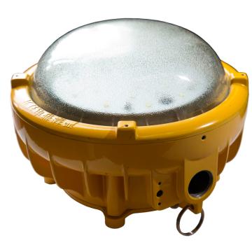 维莱奥斯 矿用隔爆型LED巷道灯 DGS55/127L(A)功率LED 55W 白光，吸顶/侧壁含吸顶配件，单位：个