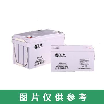 圣阳 阀控式密封铅酸蓄电池，SP12-65AH 12V/65AH(如需配线提前沟通) 售卖规格：1块