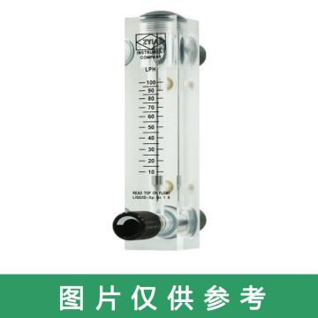 ZYIA 氮气流量计，LZM-15ZT 18061412 售卖规格：1个