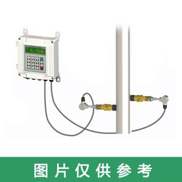 道盛/T-SONIC 白壁挂插入式超声波流量计，TUF-2000SW-TC-1 管径≥DN50,10m线 售卖规格：1套
