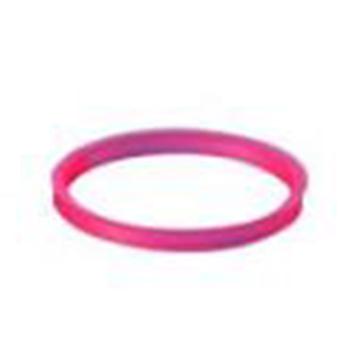 杜兰/DURAN 红色密封圈（180℃)，GL 45，29 244 28 售卖规格：1个