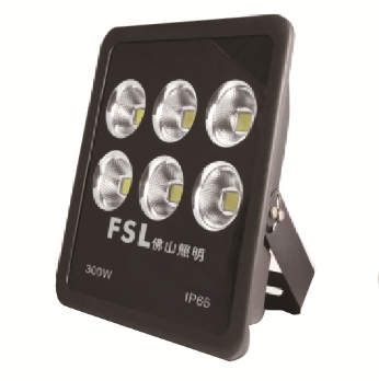 佛山照明/FSL LED泛光灯，220V 300W 白光， 定制款 售卖规格：1个