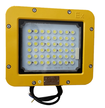 大地之光 LED防爆泛光灯，DDZG-AE211-50 白光，50W 售卖规格：1个