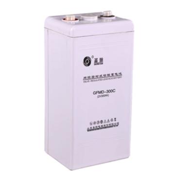 圣阳 蓄电池，GFMD-300C（含辅材，安装)