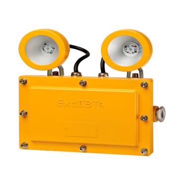 中跃 LED防爆应急工作灯，ZY8900-6W，应急灯，单位：个