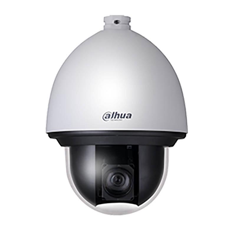 大华 网络球型摄像机，DH-SD-65F233XA-HNR 售卖规格：1个
