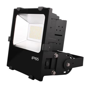 创硕光业 D系列LED投光灯，CS105050-100W，色温5700K，含U型支架，单位：个