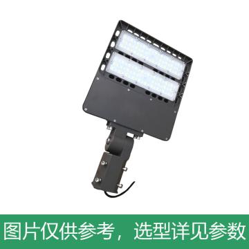 颇尔特 LED节能路灯，100W，可调节支臂，POETAA710-L100，不含灯杆，单位：个