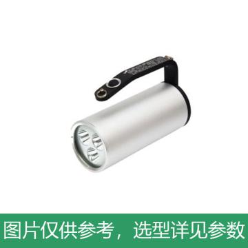 深圳海洋王手提式强光探照灯，RJW7102/LT 单位：个