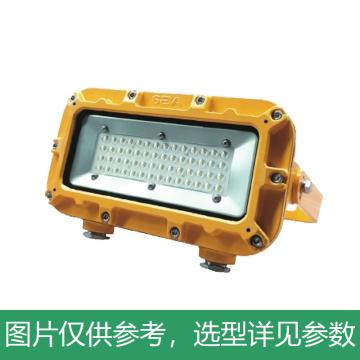 尚为/SEVA LED支架灯，DGC45/127L-45W 5000K，白光，不含安装附件 售卖规格：1个