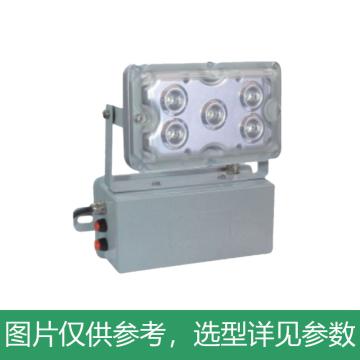 新曙光 LED应急灯，NPE4012-C5，5700K，壁装 5W，白光 售卖规格：1个