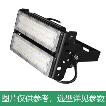 永鑫瑞 LED投光灯，隧道灯，100W白光，YXR-TL-100W-F-HS，吸顶式，单位：个
