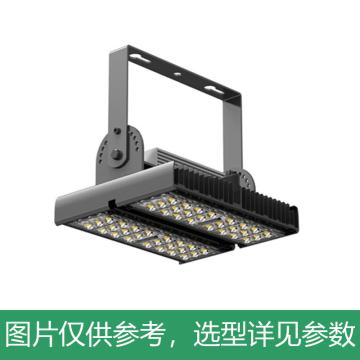 永鑫瑞 LED投光灯 隧道灯，YXR-TL-100W-B-HS 100W 白光，吸顶式 售卖规格：1个