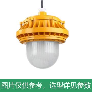 永鑫瑞 LED泛光灯，100W白光，LED-RY-DFG-100Ｗ-B-HS，吸顶式，单位：个