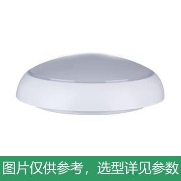 永鑫瑞 LED吸顶灯，15W白光，YXR-CL-15W-A-HS，吸顶式安装，单位：个