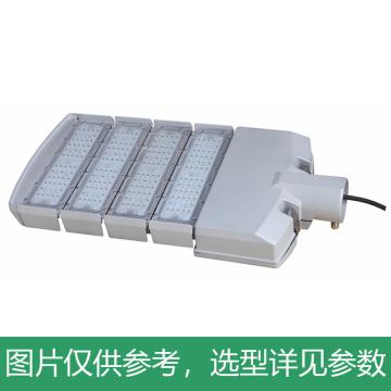 耀嵘照明 LED路灯，200W，白光，YR-ST295H-W200，4模组，安装口径60mm，单位：个