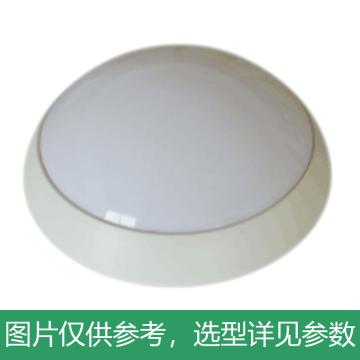 凯瑞 LED吸顶灯，15W，白光，KLXD206-15W，吸顶式，单位：个