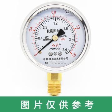 红旗 径向耐震压力表，YTN-60 0-2.5Mpa,M14*1.5 售卖规格：1个