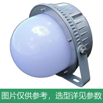 颇尔特 LED平台灯 POETAA703-L40W 高罩 支架安装，单位：个