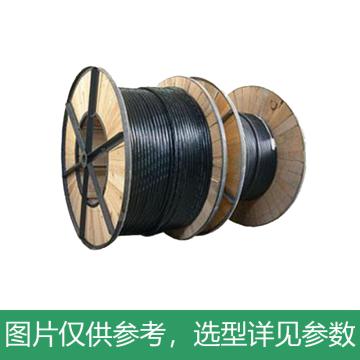 远东 氟塑料力缆，FV-0.6/1kV-3*25+1*16 售卖规格：1米