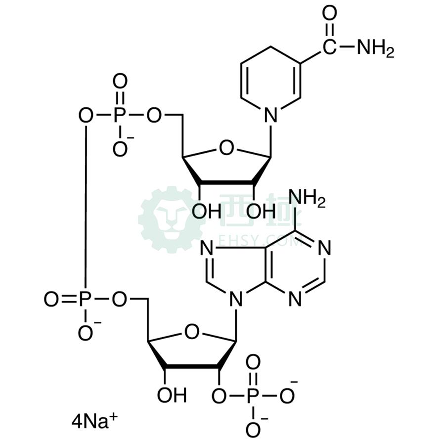 梯希爱/TCI β-烟碱腺嘌呤二核苷磷酸盐四钠盐 (还原型) [用于生化研究]，T0521-100mg CAS:2646-71-1，90.0%，100MG 售卖规格：1瓶