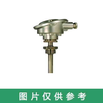 重庆川仪 热电阻，WZPQZ-E32-15|Φ3.2mm 插深7.5mm