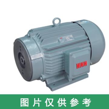 皖南电机 油泵专用电机，YYB-112M-6 2.2kw，B3 售卖规格：1台