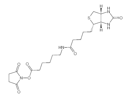 罗恩/Rhawn N-琥珀酰亚氨基6-生物素氨己酸，R031731-100mg CAS:72040-63-2，98%，100mg/瓶 售卖规格：1瓶