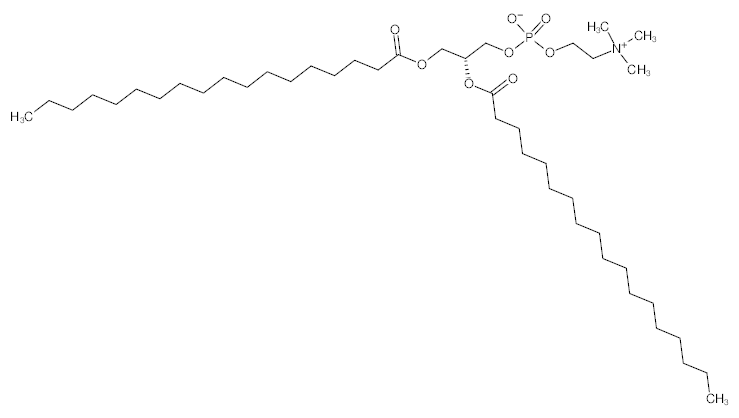 罗恩/Rhawn 1,2-二硬脂酰基-sn-丙三基-3-磷酸胆碱，R027687-500mg CAS:816-94-4，99%，500mg/瓶 售卖规格：1瓶