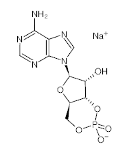 罗恩/Rhawn 腺苷-3'',5''-环状单磷酸钠水合物，R026408-2.5g CAS:37839-81-9，99%，2.5g/瓶 售卖规格：1瓶