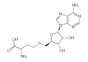 罗恩/Rhawn S-(5’-腺苷)-L-高半胱氨酸，R024623-25mg CAS:979-92-0，98%，25mg/瓶 售卖规格：1瓶