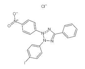 罗恩/Rhawn 碘硝基四唑紫，R018122-25g CAS:146-68-9，98%，25g/瓶 售卖规格：1瓶