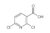 罗恩/Rhawn 2,6-二氯吡啶-3-羧酸，R016575-1g CAS:38496-18-3，97%，1g/瓶 售卖规格：1瓶