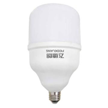 飞德朗 球泡灯，苹果系列FDL-QPD105X-30W，白光，E27 售卖规格：1个