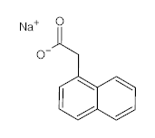 罗恩/Rhawn 1-萘乙酸钠，R015343-500g CAS:61-31-4，99%，500g/瓶 售卖规格：1瓶