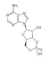 罗恩/Rhawn 腺苷环磷酸酯，R014053-5g CAS:60-92-4，99%，5g/瓶 售卖规格：1瓶