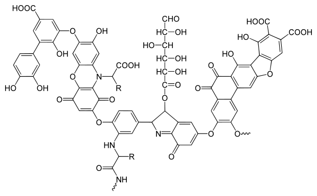 罗恩/Rhawn 腐植酸，R011794-50g CAS:1415-93-6，90%(黄腐酸FA)，50g/瓶 售卖规格：1瓶