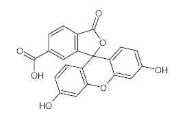 罗恩/Rhawn 6-羧基荧光素，R008161-500mg CAS:3301-79-9，95%，500mg/瓶 售卖规格：1瓶