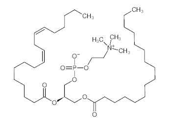 罗恩/Rhawn 卵磷脂，R002341-5g CAS:8002-43-5，98%(来源于大豆)，5g/瓶 售卖规格：1瓶