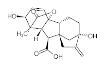 羅恩/Rhawn 赤霉素，R016921-5g CAS:77-06-5，96%，5g/瓶 售賣規(guī)格：1瓶