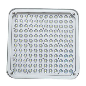 行知照明 LED罩棚灯，GD1301A，150W 白光，吸顶式 售卖规格：1套