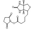 百灵威/J&K (+)-生物素-N-羟基琥珀酰亚胺酯，454043-50MG CAS：35013-72-0，99% 售卖规格：50毫克/瓶