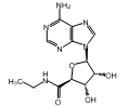 百灵威/J&K 5'-乙基甲酰氨基腺苷，528753-25MG CAS：35920-39-9，98% 售卖规格：25毫克/瓶