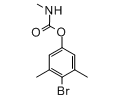 Accustandard 4-溴-3,5-二甲苯基-N-甲基氨基甲酸酯/BDMC，M-531-IS CAS:672-99-1,0.1 mg/mL in ACN,1mL/瓶 售卖规格：1瓶